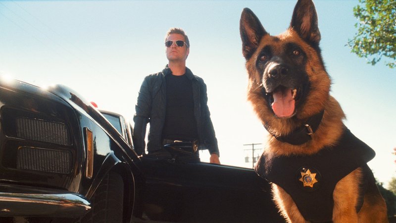 Shane (Chris ODonnell) und sein Polizei-Hund Diggs werden zu einem wichtigen Einsatz gerufen. – Bild: Super RTL