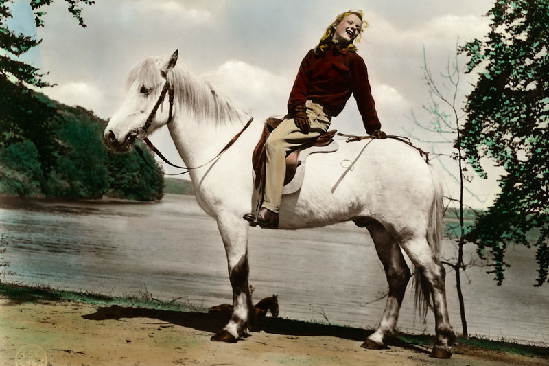 Die Mädels vom Immenhof – Bild: ZDF und Janus Film