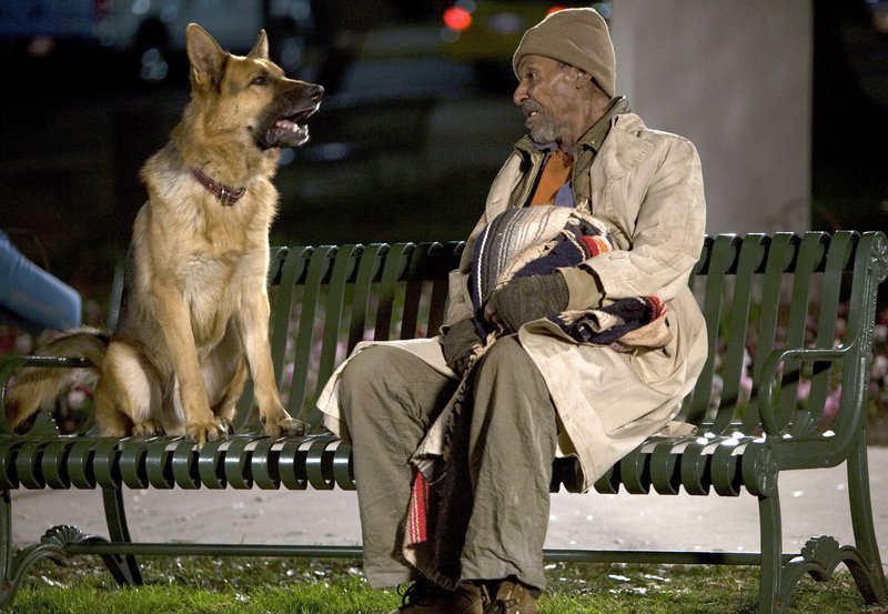 Tierisch Cool - Ein Hund in New York – Bild: BR/​ARD Degeto