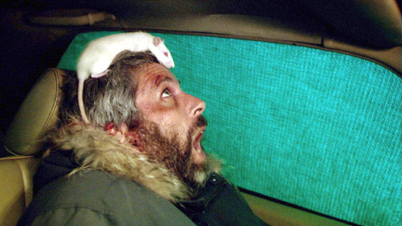 Immer nie am Meer – Bild: ORF