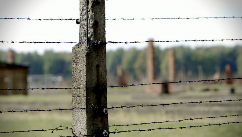 Konzentrationslager Stacheldraht. – Bild: Label News /​ ORF /​ ZED
