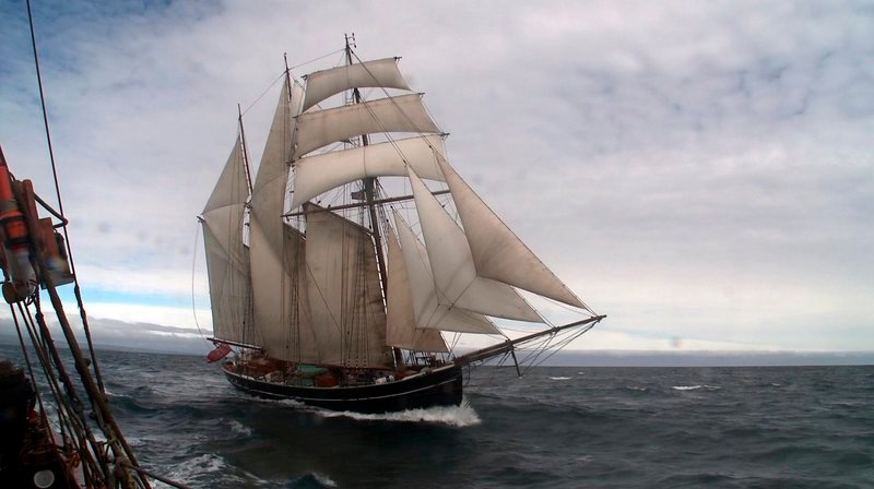 Hoelzerne Fabrikschiffe machen weltweit Jagd auf Pottwale Honorarfrei – nur f¸r diese Sendung bei Nennung ZDF und Jonas BergsoeHoelzerne Fabrikschiffe machen weltweit Jagd auf Pottwale  Honorarfrei – nur f?r diese Sendung bei Nennung ZDF und Jonas Bergsoe – Bild: PHOENIX/​ZDF/​Jonas Bergsoe