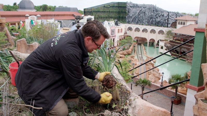 Exotische Pflanzen im Phantasialand – Chef-Gärtner Michael Jost bei der Arbeit – Bild: WDR/2Pilots GmbH Exotische Pflanzen im Phantasialand – Chef-Gärtner Michael Jost bei der Arbeit – Bild: WDR/2Pilots GmbH