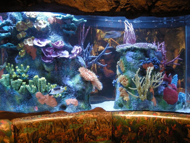 Fish Tank Kings Gigantische Wasserwelten Staffel 2 Episodenguide