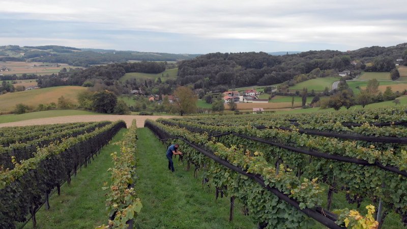 Im steirischen Vulkanland – Bild: ORF