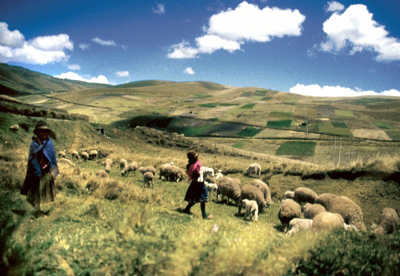 Ecuador - Von den Anden an die Küste – Bild: HR/​SR/​Chamaeleonreisen