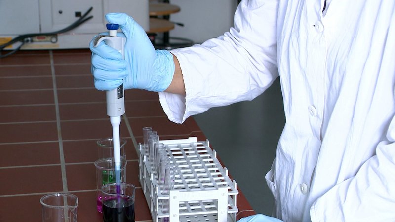 Feindbild Kohlenhydrate – Bild: ORF