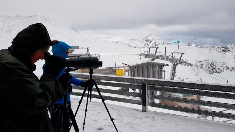 Mit Fernglas und Bestimmungsbuch ausgestattet machen sich die Birdrace-Teams auch unter widrigsten Wetterverhältnissen auf den Weg. Bild: „Vogelsucher“ am Nebelhorn. – Bild: BR/​Jan Kerckhoff