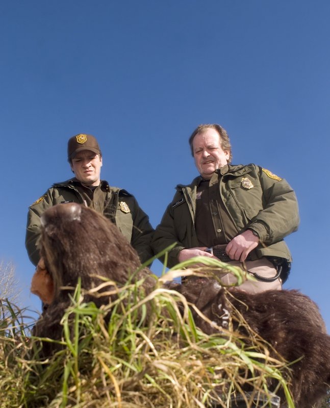 Slither - Voll auf den Schleim gegangen – Bild: TVNOW /​ © 2006 Universal S