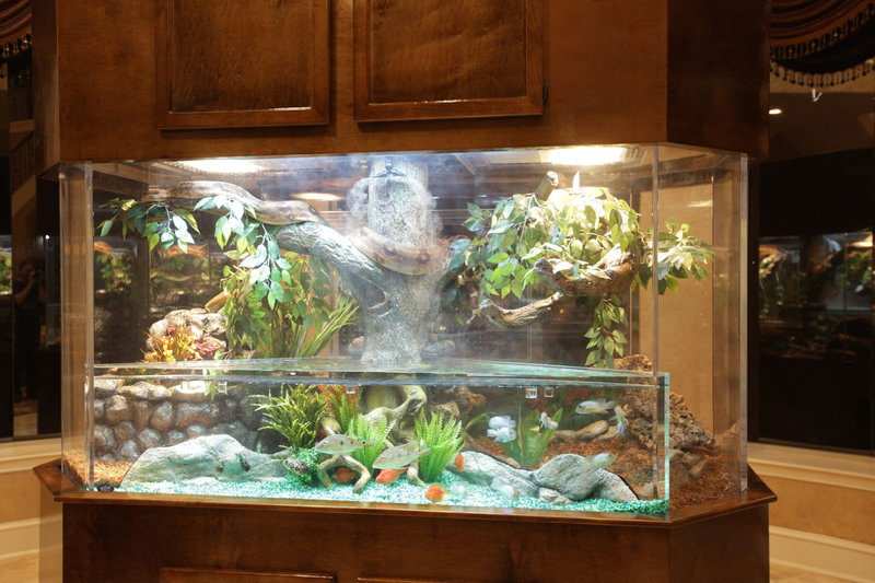 Aquarium Profis Aquarium Profis