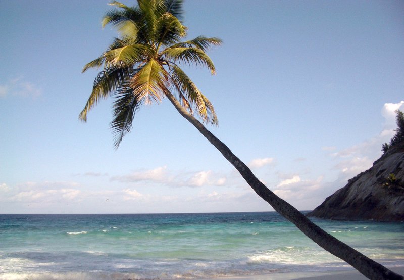 Seychellen. – Bild: ORF
