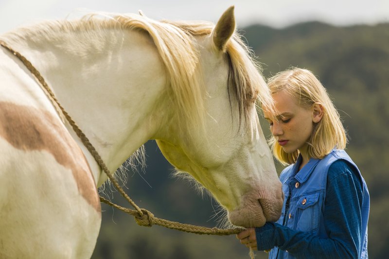 Wendy - Der Film – Bild: ORF
