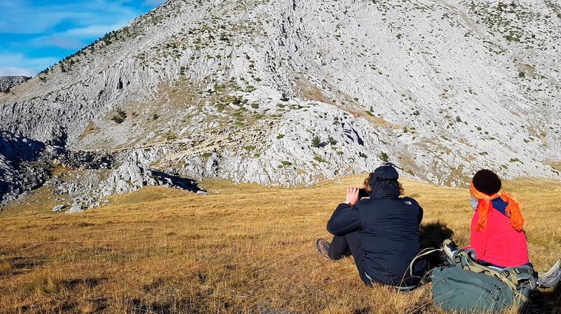 Die Schafherde links auf den Felsen ist kaum zu erkennen – Bild: SR/​Ute Werner