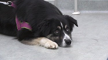 . – Bild: Planet . – Bild: Planet