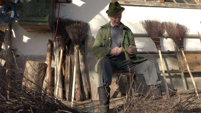 Leben in der Waldheimat – Bild: ORF /​ Pammer Film