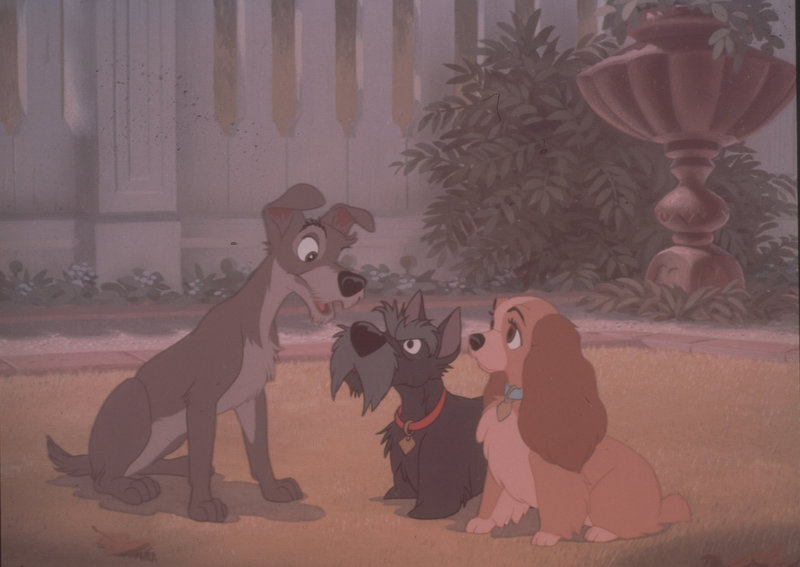 From left: Strolch, Jock and Susi – Bild: DISNEY CHANNEL From left: Strolch, Jock and Susi – Bild: DISNEY CHANNEL