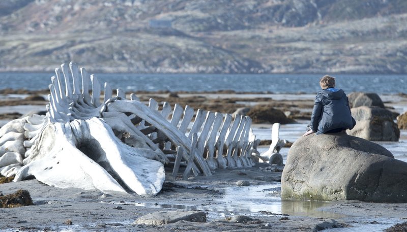 Leviathan – Bild: WDR/​Wild Bunch