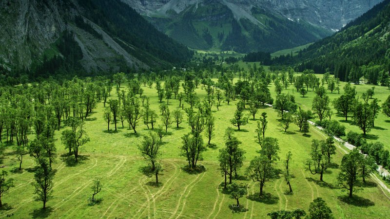 Großer Ahornboden, Karwendel/ Tirol. – Bild: BR Großer Ahornboden, Karwendel/ Tirol. – Bild: BR