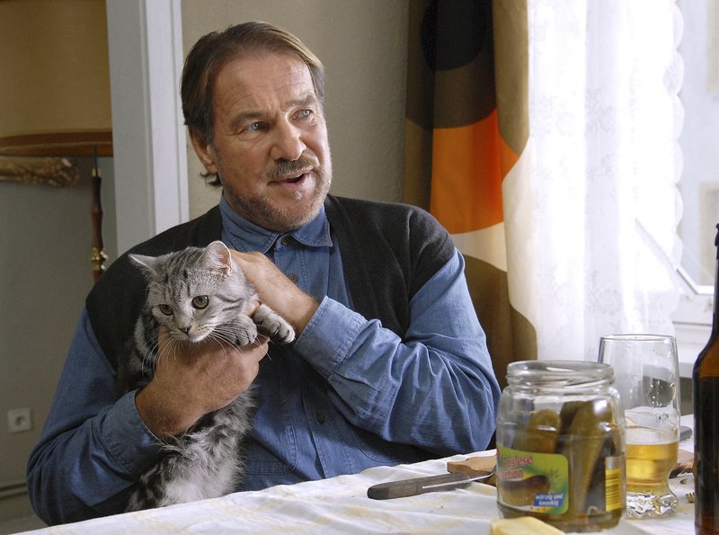 Die Katze – Bild: NDR