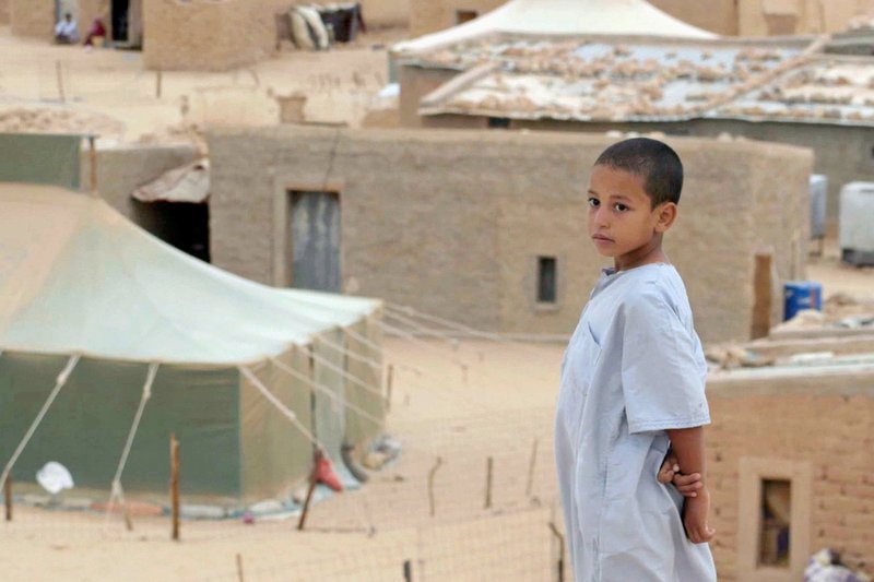 Ein junger Saharaui aus dem Camp Smara – Bild: HR /​ © HR/​Gropperfilm
