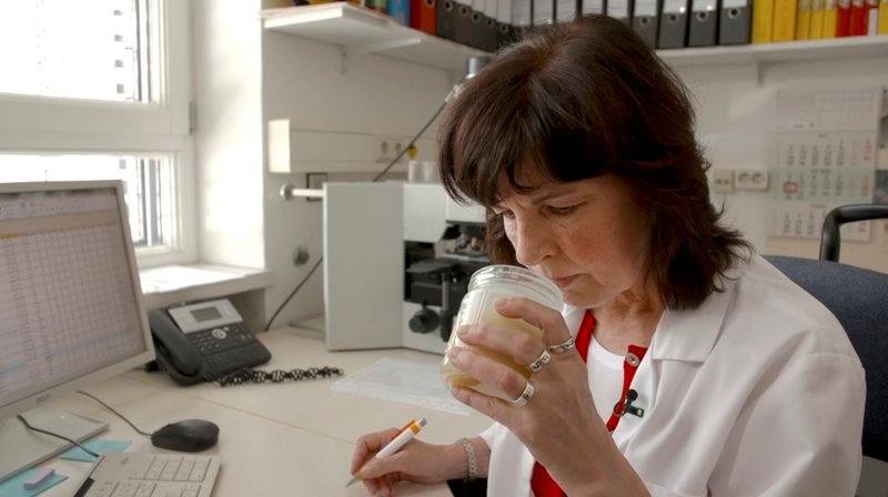 Im Celler Institut für Bienenkunde wird Honig auf seine Inhaltsstoffe überprüft. – Bild: NDR