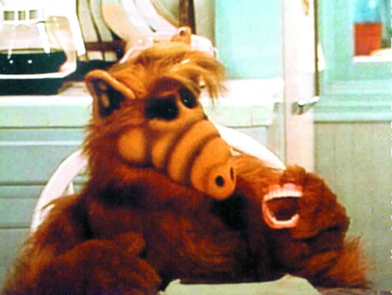 ALF S01E21: Das Fenster zum Garten (Lookin’ Through The Window