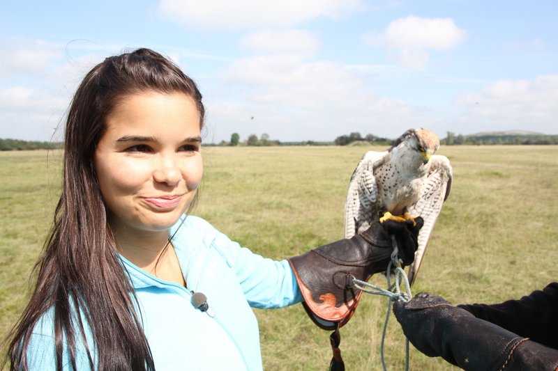 Anna Und Die Wilden Tiere Videos