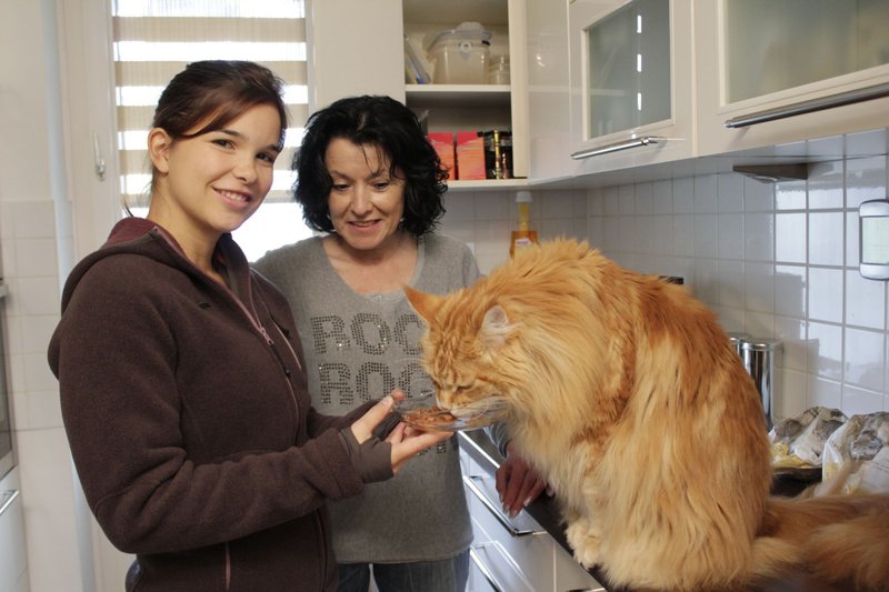 Anna und die Haustiere 30: Maine Coon – fernsehserien.de