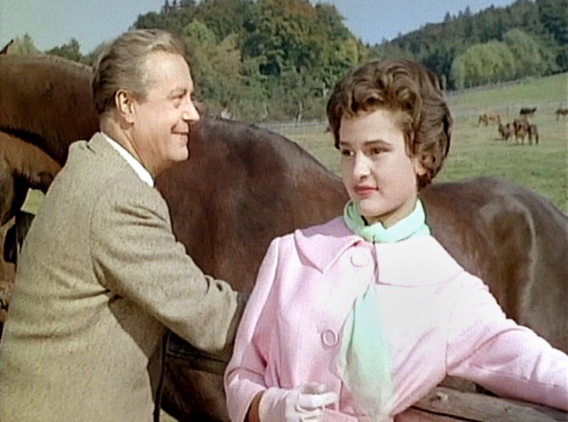 Hubertusjagd – Bild: BR/​ARD Degeto