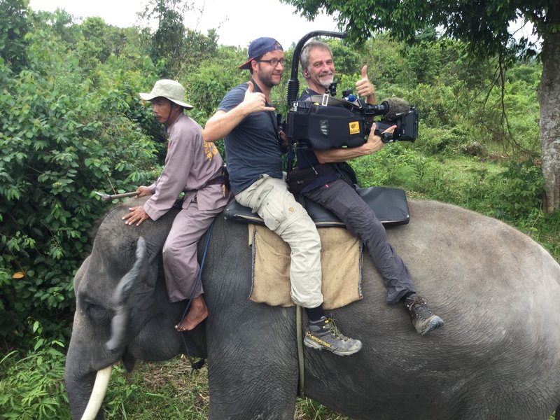 Anna und die wilden Tiere bisher 106 Folgen Episodenguide (Seite 3) fernsehserien.de