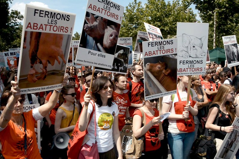 Manche Tierschützer vertreten die Ansicht, dass wir aus rein moralischen Gründen auf das Ausbeuten von Tieren zur Herstellung von Lebensmitteln oder Kleidung verzichten müssten. Einige stufen das bewusste Töten empfindsamer Wesen als ethisch untragbar ein. – Bild: ARTE France 