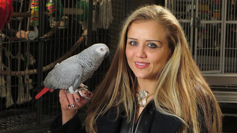 Da Meerschweinchen, Hamster und Wellensittiche manchen Menschen als Haustier zu langweilig sind, halten sie sich Echsen, Affen und sogar Löwen. Jasmin (Foto) teilt sich ihr Zuhause mit exotischen Tieren … – Bild: 2014 Dream Street EP Pictures Inc. Lizenzbild frei