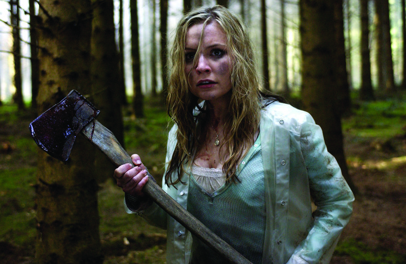 Shrooms – Bild: 2009 BBC Lizenzbild frei