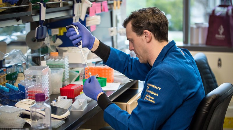 Das Labor von Jennifer Doudna an der Universität Berkeley entwickelt revolutionäre Methoden der Gentechnik. – Bild: phoenix/​ZDF/​Martin Ehleben