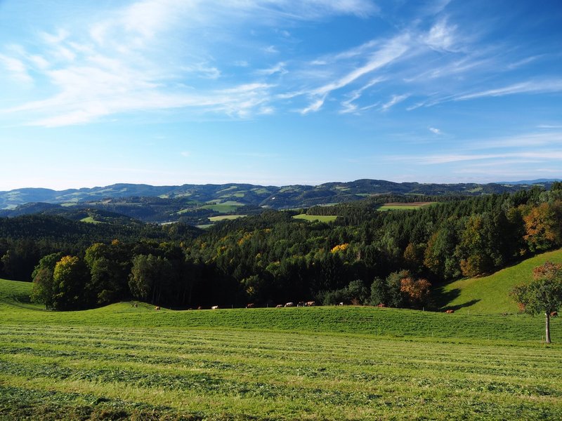 Universum Hermann Maier: Meine Heimat - Die Sonnenberge ...