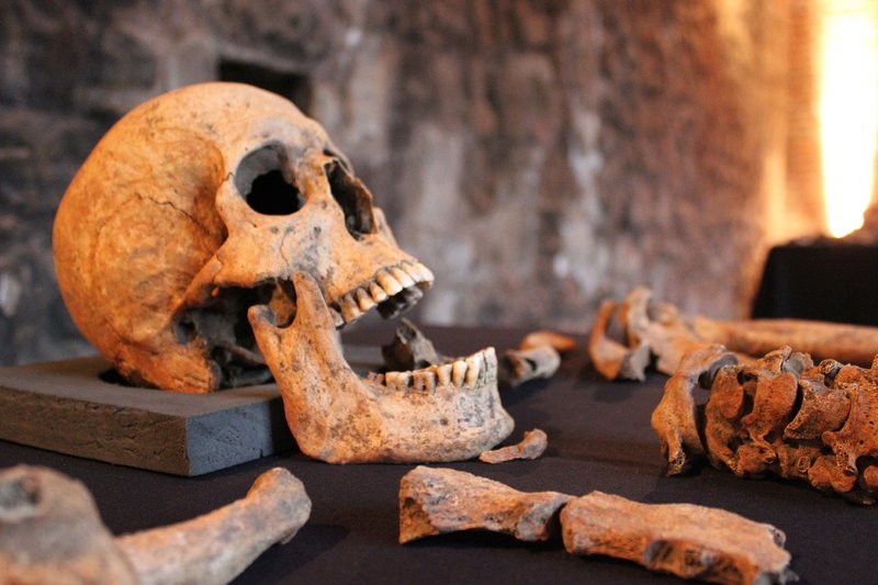 Der Fund von 25 Skeletten bei Gleisbauarbeiten trug dazu bei, eine der größten Katastrophen aufzuklären, die London je getroffen hat: den Schwarzen Tod. – Bild: True North © Geo Television Der Fund von 25 Skeletten bei Gleisbauarbeiten trug dazu bei, eine der größten Katastrophen aufzuklären, die London je getroffen hat: den Schwarzen Tod. – Bild: True North © Geo Television
