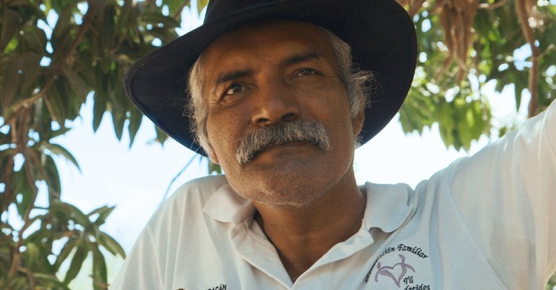 Jose El Doctor Mireles ist Chef der mexikanischen Bürgerwehr. – Bild: WDR/​DCM GmbH