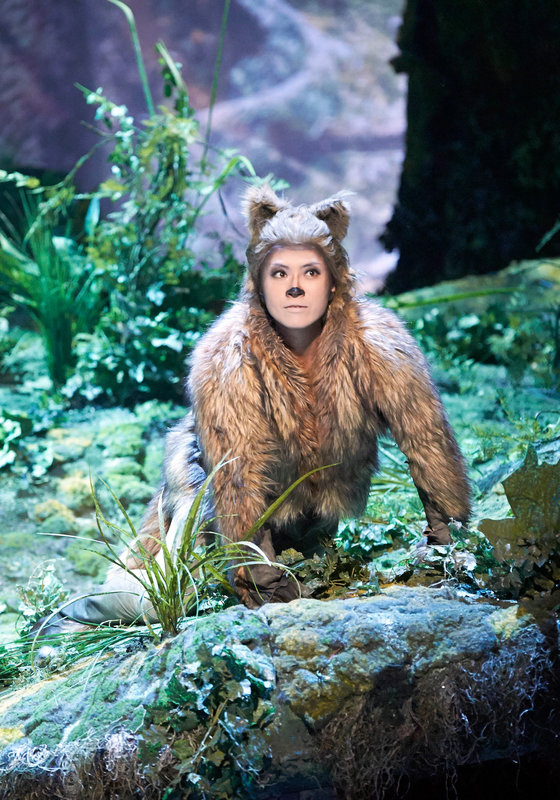 Das schlaue Füchslein – Bild: ORF