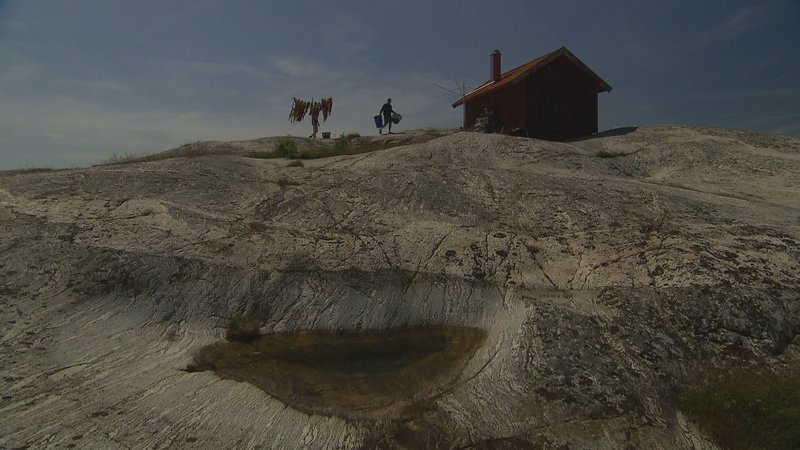 Kluge Idee im roten Häuschen – hier trocknet Tang fürs Knäckebrot. – Bild: ZDF und NDR