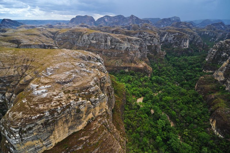 Im abgeschiedenen Makay Bergmassiv im Herzen Madagaskars hofft das Forscherteam, neue Tier- und Pflanzen-Arten zu entdecken. – Bild: BR/​Gedeon