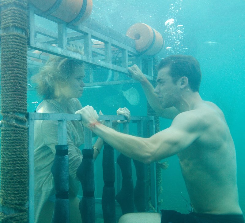 Shark Night – Bild: RTL