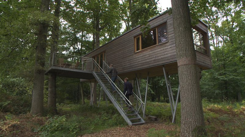 baumhaus profi baumhaus profi