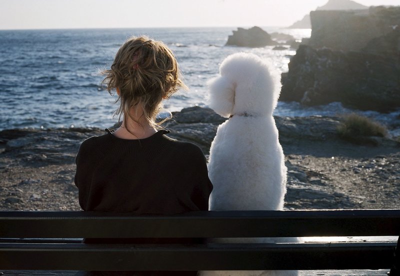 Endlich Witwe – Bild: ZDF und ARD Degeto