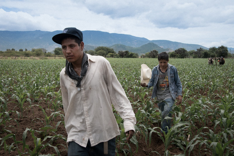 Los Ángeles – Bild: ZDF und Yvette Cruz