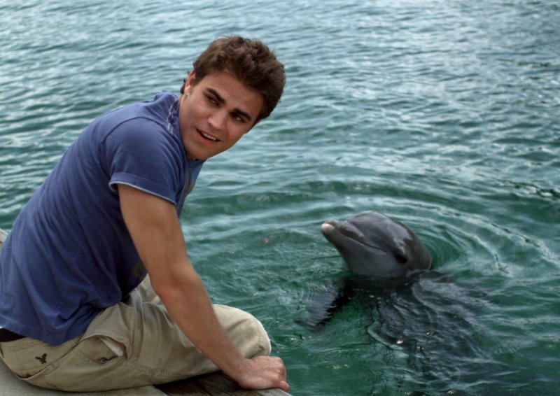 Craig (Paul Wesley) ist begeistert von dem Delphinweibchen Rasca. – Bild: MDR/​Degeto/​Wild Bunch
