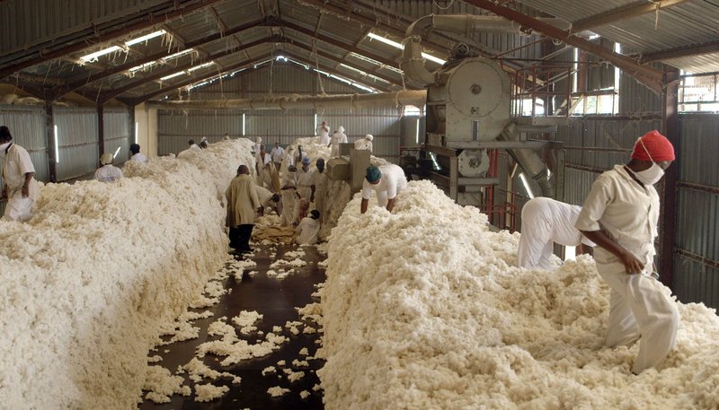 Mode schlägt Moral – Bild: WDR