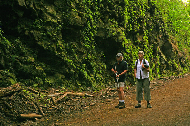 Supergator - Das Killerkrokodil – Bild: SIMS