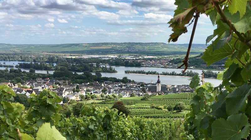 Blick auf Rüdesheim von der Jugendherberge Rüdesheim aus. – Bild: HR/​Friso Richter