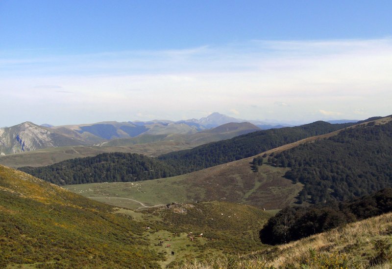 In den westlichen Pyrenäen im Norden Navarras. – Bild: ORF