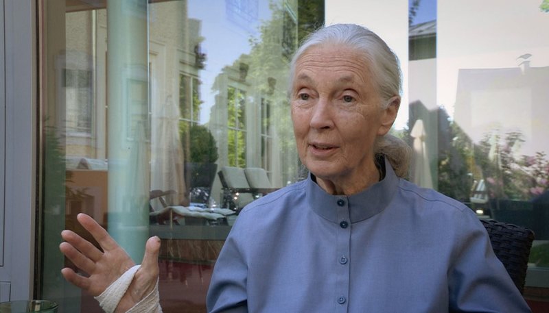 Unter Menschen – Bild: ZDF und WDR/​DENKmal/​Marcus Gruber